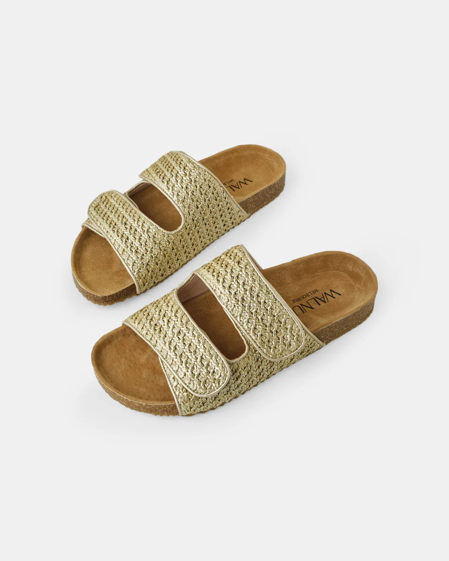 WALNUT : Beach Slide - Gold